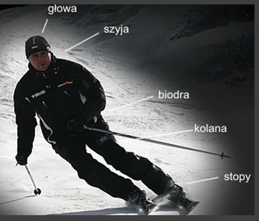 Wycinek z magazynu SKI: artykuł Bodycarving, narciarz z opisanymi miejscami w ciele